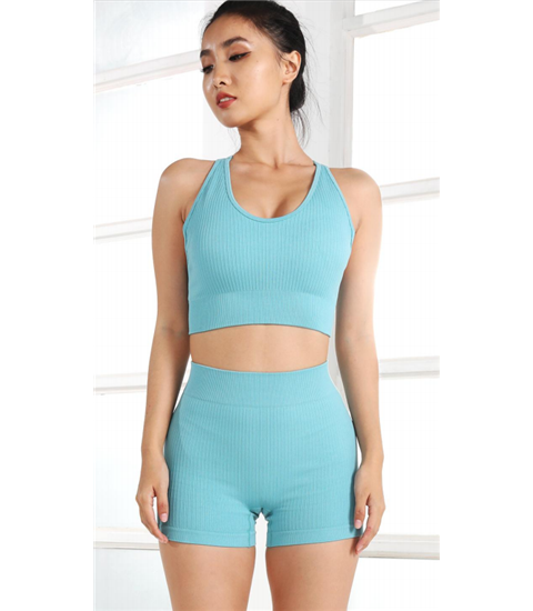 Gym Fitness Wear Seamless Set for Women