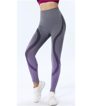 High-Waisted Seamless Yoga Tight Sports Women Leggings